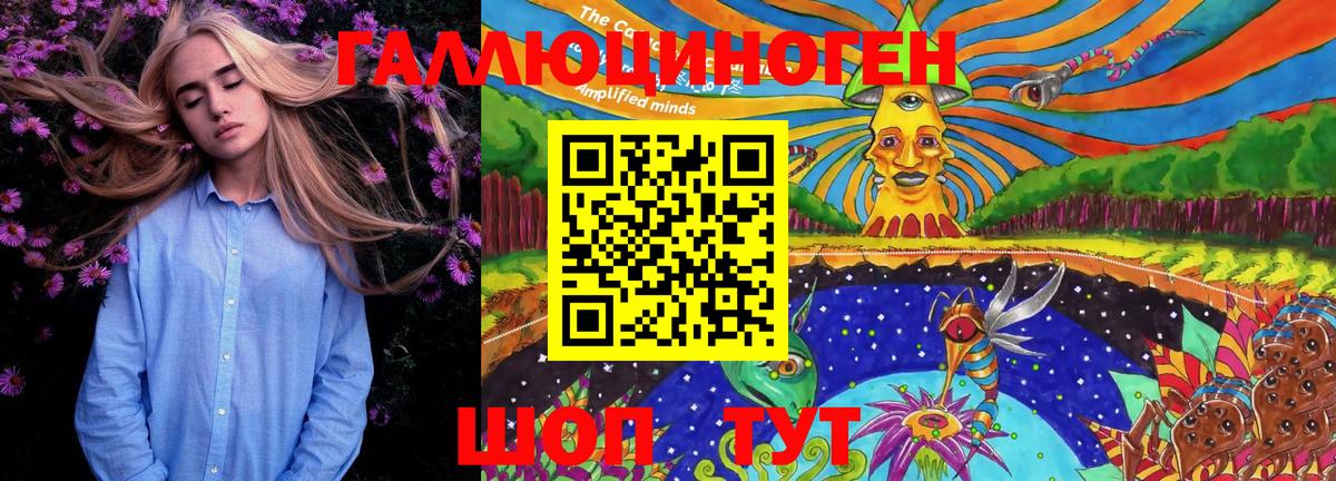 Набережные Челны  Псилоцибиновые грибы Psilocybine cubensis  Вход с VPN 