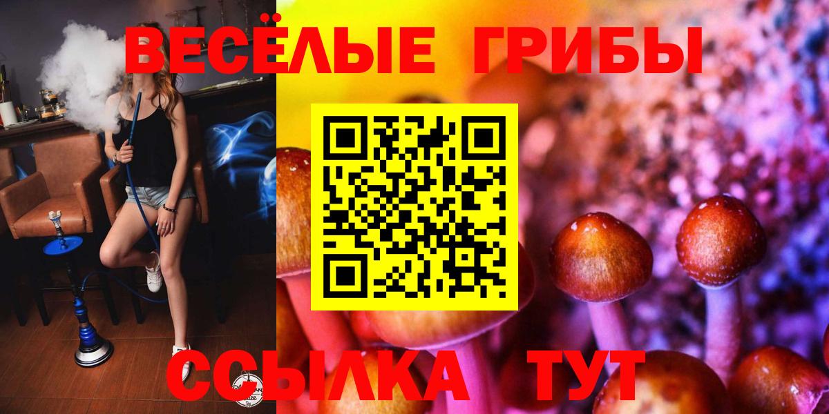 Галлюциногенные грибы прущие грибы Набережные Челны
